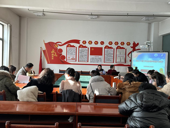 学院教工、学生党支部召开学习贯彻党的二十届三中全会精神专题研讨交流...