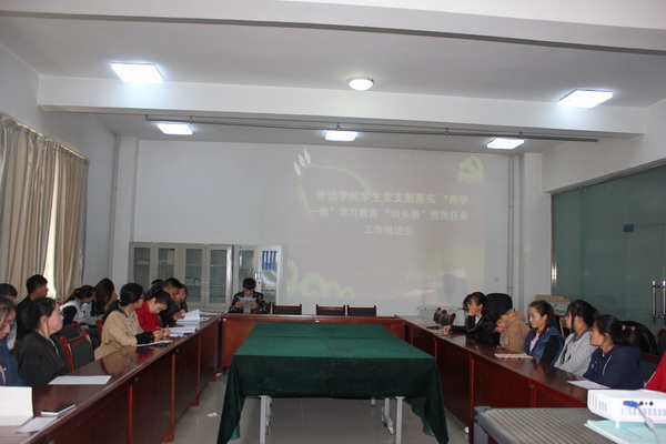 必赢565net官网学生党支部召开“两学一做”学习教育“回头看”整改工作推进会